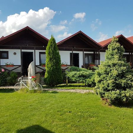 Pensiunea Valea Argesului Albestii Paminteni Eksteriør billede